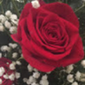 Meet your Posher, Edith